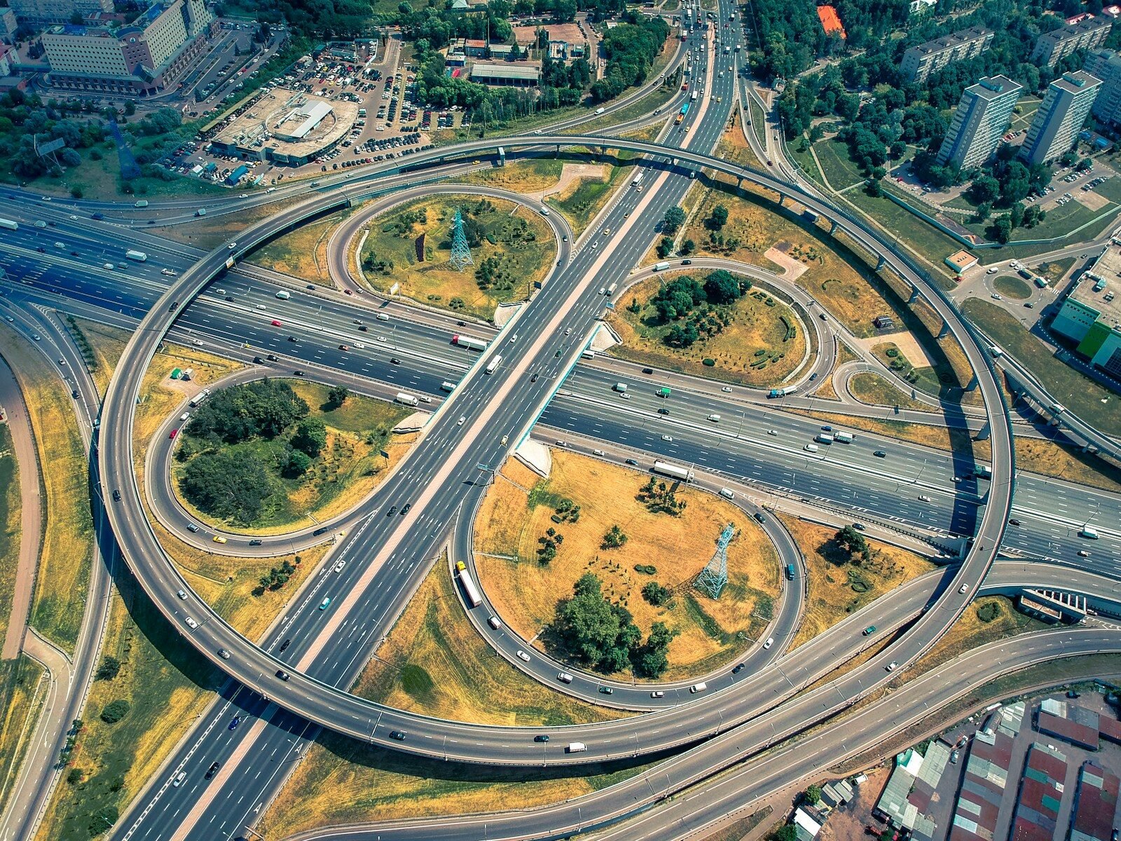 aerial view of green trees and road during daytime